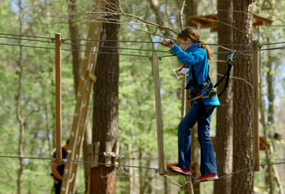 The Basic Principles Of Treetop Adventure Course 