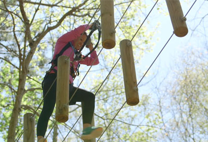 8 Easy Facts About Treetop Adventure Park Explained