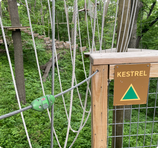 Big Tree Climbing Tip - How to use the Yella Grapnel in the canopy to  advance your climbing line (for big throws). Yella Geapnel by @newt